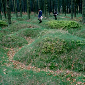 Cannock trench model