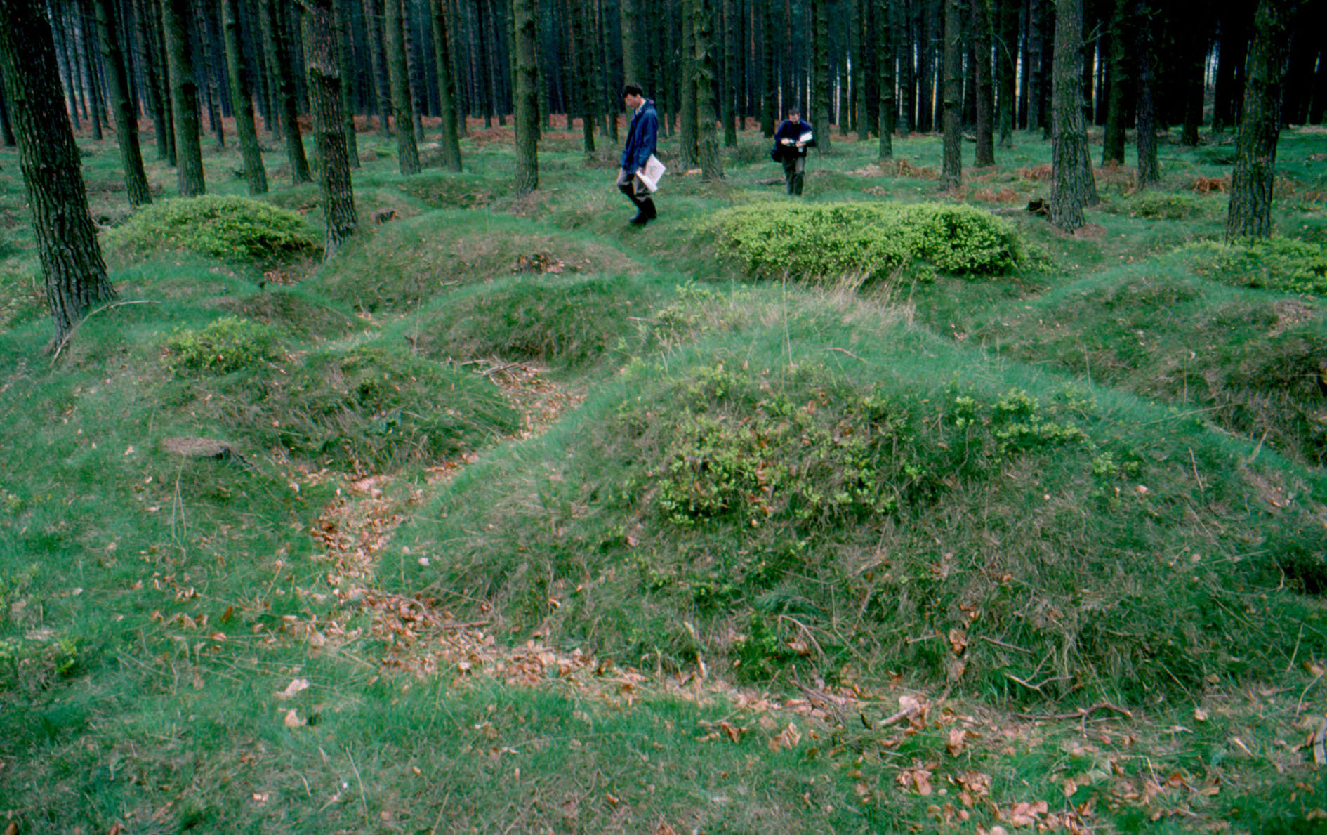 Cannock trench model