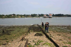 First World War site recording New Forest