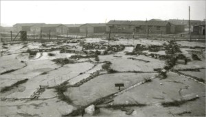 Messines model Cannock Chase