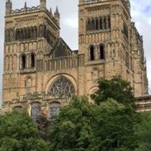 11885073_1032381416786747_1032866580445878318_n